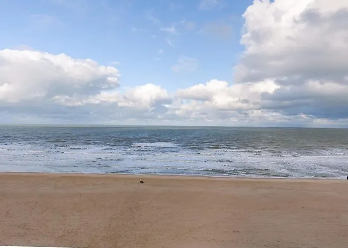 Apartment Huswell - Beautiful Seaview With Private Garage *